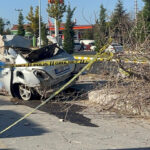 Nevşehir’de kontrolden çıkan otomobil refüjdeki ağaca çarparak ikiye bölündü, 2 kişi hayatını kaybetti, 1 kişi yaralandı. 5 agaca carpan otomobil ikiye bolundu 2 olu 1 yarali 7ea218551f82
