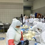 ak partili ercan hedefimiz her ortamda kadin temsiliyetini yuzde 50lere ulastirmak 2 4384f3e9756b