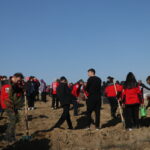 ankarada orman sehidi onarici ve arslan icin hatira ormani be2b03fa9bc7