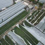 Antalya'da şiddetli yağış, dolu ve fırtına hayatı olumsuz etkiledi 6 antalyada saganak yerini firtina ve doluya birakti 1945510db27b