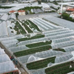 Antalya'da şiddetli yağış, dolu ve fırtına hayatı olumsuz etkiledi 5 antalyada saganak yerini firtina ve doluya birakti b300b6546d7f