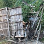 ari kovanlarinin bulundugu ahsap yapi devrildi 2 olu 1 yarali 93360b7f8469