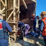 ari kovanlarinin bulundugu ahsap yapi devrildi 2 olu 1 yarali c451ab04d5f2