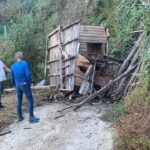 ari kovanlarinin bulundugu ahsap yapi devrildi 2 olu 1 yarali d315708cefe7