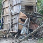 ari kovanlarinin bulundugu ahsap yapi devrildi 2 olu 1 yarali f30307c3b6a9