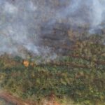 artvinde ortu yangini ormana yayildi 2 28bb978bf084