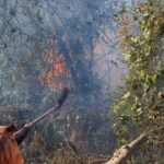 Hopa'da bahçeden ormana sıçrayan yangın kontrol altına alınmaya çalışılıyor 2 artvinde ortu yangini ormana yayildi 3c38e7cf6086