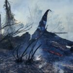 Hopa'da bahçeden ormana sıçrayan yangın kontrol altına alınmaya çalışılıyor 4 artvinde ortu yangini ormana yayildi 6aa3ae69f9f1