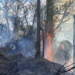 Hopa'da bahçeden ormana sıçrayan yangın kontrol altına alınmaya çalışılıyor 5 artvinde ortu yangini ormana yayildi b73cd4faaa33