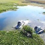 asi nehrini ve golu kaplayan su sumbulleri dekoratif urunlere donusturulecek 046e7b885971