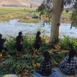 asi nehrini ve golu kaplayan su sumbulleri dekoratif urunlere donusturulecek 0d0e2c629eb0