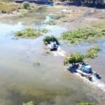 asi nehrini ve golu kaplayan su sumbulleri dekoratif urunlere donusturulecek f85c532cd75f