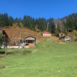 ayder yaylasinda teleferikle ulasim planlaniyor 062582645cae