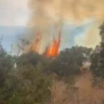 aydinda orman yangini 6c4e7798f7bd