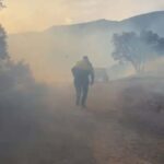 aydinda orman yangini 6d51b03af09d