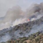 aydinda orman yangini 6f38b831584c