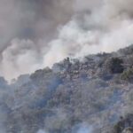 aydinda orman yangini 77896b061947