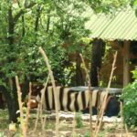 bag evi patlamasinin tanigi patronumu piknik tupu ve demir parcalariyla gordum e874b18495a3