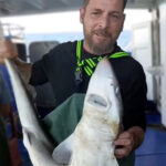 balikci agina takilan camgoz kopek baligini yeniden suya birakti 870dc42722c8