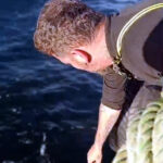 balikci agina takilan camgoz kopek baligini yeniden suya birakti f7f2387a5a36