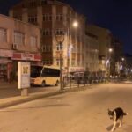 balikesirde meydana gelen deprem istanbulda hissedildi 0060edca294f