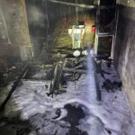 balikesirde tavuk ciftliginde cikan yanginda 5 bin civciv oldu e9d88f4a83ad