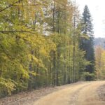 bartin ve karabuk yaylalarinda sonbahar guzelligi b7895121b4b1