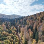 bartin ve karabuk yaylalarinda sonbahar guzelligi f8a8a7480b8f