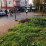 Kocaeli'de Çöp Kamyonunun Altında Kalarak Hayatını Kaybeden Belediye Çalışanının Kazası Kameralara Yansıdı 4 belediye iscisinin cop kamyonunun altinda kalip oldugu kaza kamerada ccddf2118da9