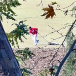 belediye personeli sokak kopegini iple surukledi 6ff8a9f53f0c