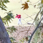 belediye personeli sokak kopegini iple surukledi 774ffff55025