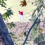 belediye personeli sokak kopegini iple surukledi 8d0f9d289516