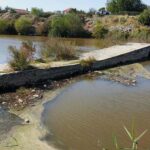 biriken atiklar temizlenmezse copler ege denizine ve bafa golune kadar ulasir 6363f604d898