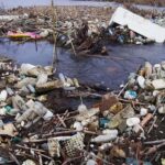 biriken atiklar temizlenmezse copler ege denizine ve bafa golune kadar ulasir f002e4802723