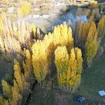 Bitlis'te Sonbahar Renkleri Dronla Görüntülendi 3 bitliste sonbahar guzelligi 674ed433dbdc