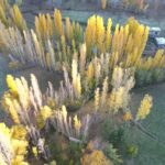 Bitlis'te Sonbahar Renkleri Dronla Görüntülendi 5 bitliste sonbahar guzelligi 90e7aaa5ce0b