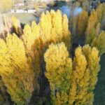 Bitlis'te Sonbahar Renkleri Dronla Görüntülendi 4 bitliste sonbahar guzelligi 93ac95453a41