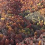 bolu mengende sonbahar guzelligi 4a11c61939ff