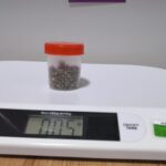 İnegöl'de 213 Safra Taşı Bulunan 77 Yaşındaki Kadın Başarılı Ameliyatla Sağlığına Kavuştu 3 bursada 77 yasindaki kadinin safra kesesinden 213 tane tas cikarildi 9aae90c2bbb9