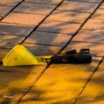 bursada tartistigi kisiyi tabancayla vurdu 1 olu ca21872cd2c0