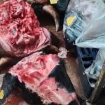 Çanakkale'de izinsiz faaliyet gösteren et işleme tesisi mühürlendi, binlerce kilogram gıda imha edildi. 2 canakkalede izinsiz ve uygunsuz kosullarda et isleme faaliyeti gosteren isletme muhurlendi 01e79142f3e5