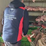 Çanakkale'de izinsiz faaliyet gösteren et işleme tesisi mühürlendi, binlerce kilogram gıda imha edildi. 6 canakkalede izinsiz ve uygunsuz kosullarda et isleme faaliyeti gosteren isletme muhurlendi 40fe93a572de