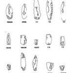 Karaman'da 10 Bin Yıllık Sokağın Kazısında, 8 Bin 500 Yıllık Obsidyen Ayna ve Aletler Bulundu 3 canhasanda 8 bin 500 yillik obsidyen ayna bulundu f417da9aad40