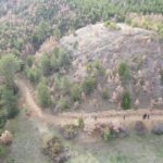 cankirida mantar toplamak icin evden ayrilan kadin ormanda olu bulundu 8de6c7c322f5