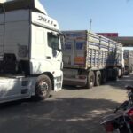 cilvegozunden son 4 ayda 50 milyon dolarlik ihracat 0806e404adb4