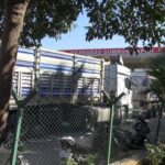 cilvegozunden son 4 ayda 50 milyon dolarlik ihracat 5bd93b78bd0b