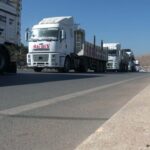 cilvegozunden son 4 ayda 50 milyon dolarlik ihracat 616bcc010029