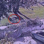 cinayetin ardindan elindeki kani cimlere silmis video eklendi 0185784bf84f