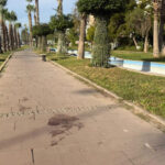 cinayetin ardindan elindeki kani cimlere silmis video eklendi 747fde64d378