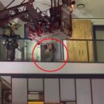 dairesini atese vermek isteyen kadin itfaiye ekiplerine damacana firlatti a508007f8b79